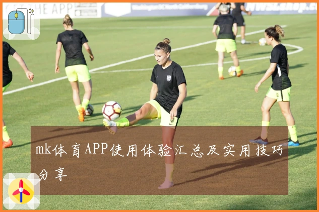 mk体育APP使用体验汇总及实用技巧分享