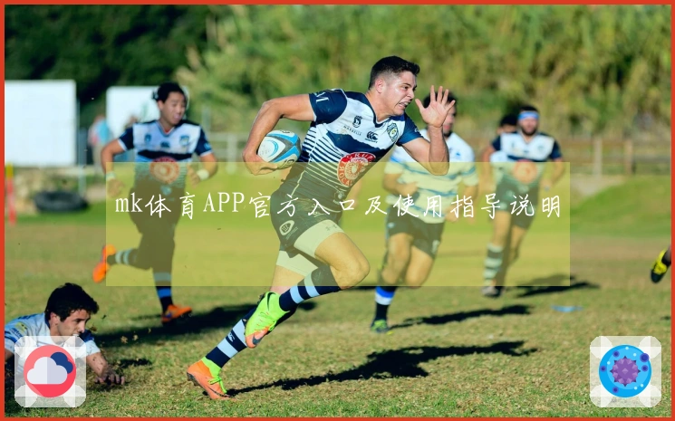mk体育APP官方入口及使用指导说明